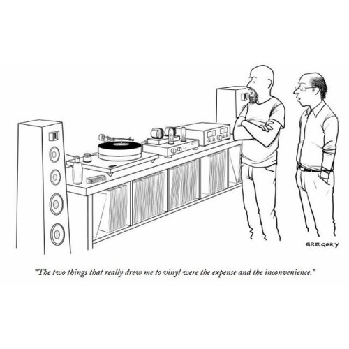 ?The two things that really drew me to vinyl were the expense and the inconvenience.?